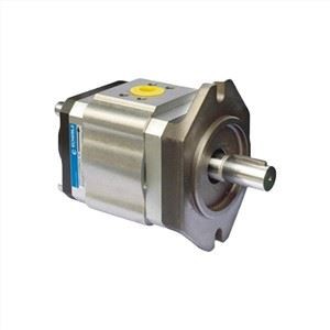 ECKERLE Servo Koveti pou Ponp EIPC6-125RA23-11 EIPC EIPC6 Seri Mote Ponp Segonde Ponp lwil oliv