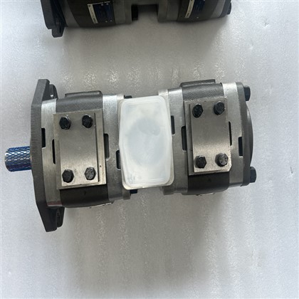 VOITH IPH IPC3 4 5 6 7 Seri Gear Ponp IPH4-25 IPC4-25 IPC4-32 IPC5-40 IPH5-40 IPC5-50 IPH{{ 7}} Ponp Kovèti pou Idwolik IPH 6-100 101